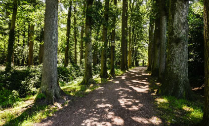 wandelen-seminar-2023